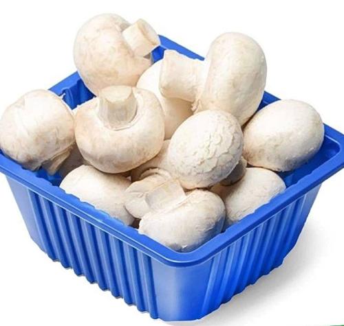 عبوة 1 كجم